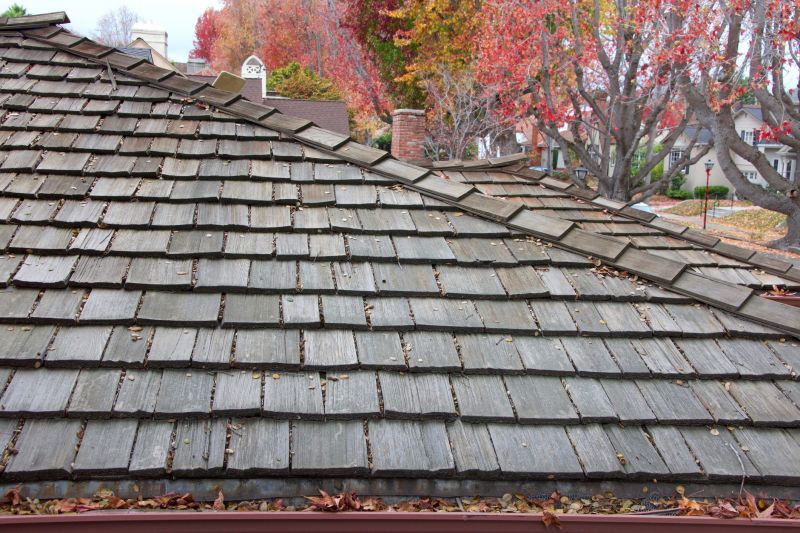 Fall Preparation for Wood Roofs